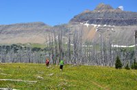 DSC_0109.JPG DSC_0109.JPG