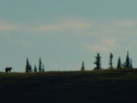 11027981_10155725193780247_1855095093268984549_n.jpg 11027981_10155725193780247_1855095093268984549_n.jpg