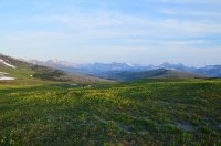 DSC_0195.JPG DSC_0195.JPG