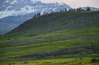 DSC_0219.JPG DSC_0219.JPG