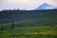 DSC_0222.JPG DSC_0222.JPG