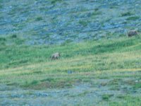 11667534_10155725226710247_6947100052153044470_n.jpg 11667534_10155725226710247_6947100052153044470_n.jpg