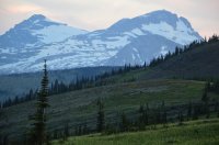 DSC_0231.JPG DSC_0231.JPG