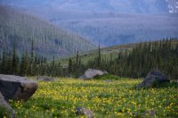 DSC_0226.JPG DSC_0226.JPG