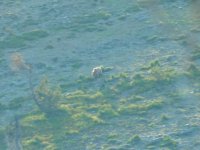 11667386_10155725188960247_3681722885345299718_n.jpg 11667386_10155725188960247_3681722885345299718_n.jpg