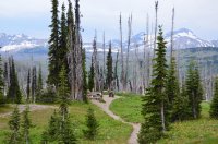 DSC_0242.JPG DSC_0242.JPG