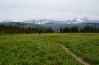 DSC_0253.JPG DSC_0253.JPG