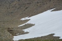 DSC_0445.JPG DSC_0445.JPG