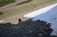 DSC_0527.JPG DSC_0527.JPG