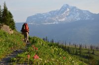 DSC_0602.JPG DSC_0602.JPG