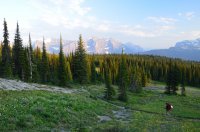 DSC_0631.JPG DSC_0631.JPG