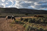 DSC_0002.jpg DSC_0002.jpg