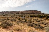 DSC_0094.jpg DSC_0094.jpg