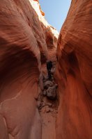 DSC_0120.jpg DSC_0120.jpg