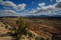 DSC_0160.jpg DSC_0160.jpg