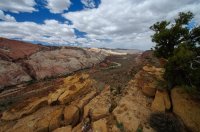 DSC_0170.jpg DSC_0170.jpg