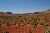 DSC_0199.jpg DSC_0199.jpg