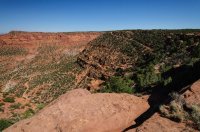 DSC_0205.jpg DSC_0205.jpg