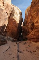 DSC_0338.jpg DSC_0338.jpg