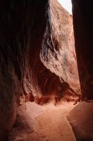 DSC_0346.jpg DSC_0346.jpg