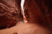 DSC_0352.jpg DSC_0352.jpg