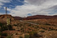 DSC_0363.jpg DSC_0363.jpg