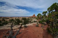 DSC_0383.jpg DSC_0383.jpg