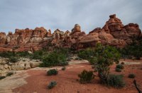 DSC_0386.jpg DSC_0386.jpg