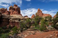 DSC_0375.jpg DSC_0375.jpg