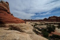 DSC_0399.jpg DSC_0399.jpg