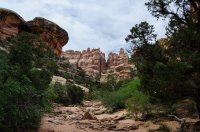 DSC_0409.jpg DSC_0409.jpg