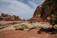 DSC_0426.jpg DSC_0426.jpg