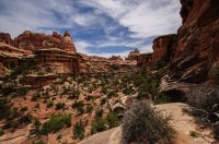 DSC_0430.jpg DSC_0430.jpg