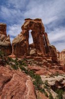 DSC_0421.jpg DSC_0421.jpg