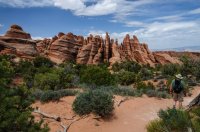 DSC_0437.jpg DSC_0437.jpg