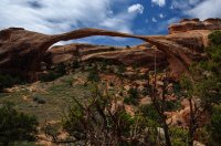 DSC_0433.jpg DSC_0433.jpg