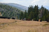 DSC_0072.JPG DSC_0072.JPG