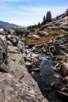 CPW-Wilderness Basin-20.jpg