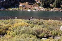 CPW-Wilderness Basin-23.jpg