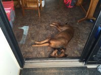 laborday-glencanyon-22.jpg laborday-glencanyon-22.jpg