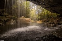 11013424_10152931163846599_4744594895163114358_o (1).jpg