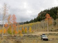 IMG_4759.JPG