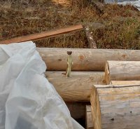 IMG_20151007_092130 (2).jpg