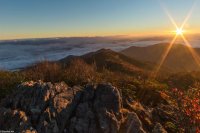 11700846_10152953178916599_3764612323806019913_o (1).jpg