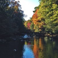 MeadowRun2.jpg MeadowRun2.jpg