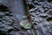 toroweap-850-8.jpg toroweap-850-8.jpg