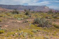 toroweap-850-33.jpg toroweap-850-33.jpg