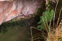 toroweap-850-44.jpg toroweap-850-44.jpg