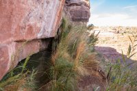 toroweap-850-45.jpg toroweap-850-45.jpg