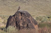 toroweap-850-57.jpg toroweap-850-57.jpg